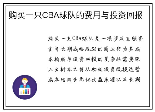 购买一只CBA球队的费用与投资回报
